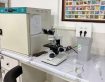 انواع سرطان‌های ناشی از ویروس HPV